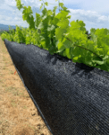 Protection climatique pour la viticulture Delta cover ombrage