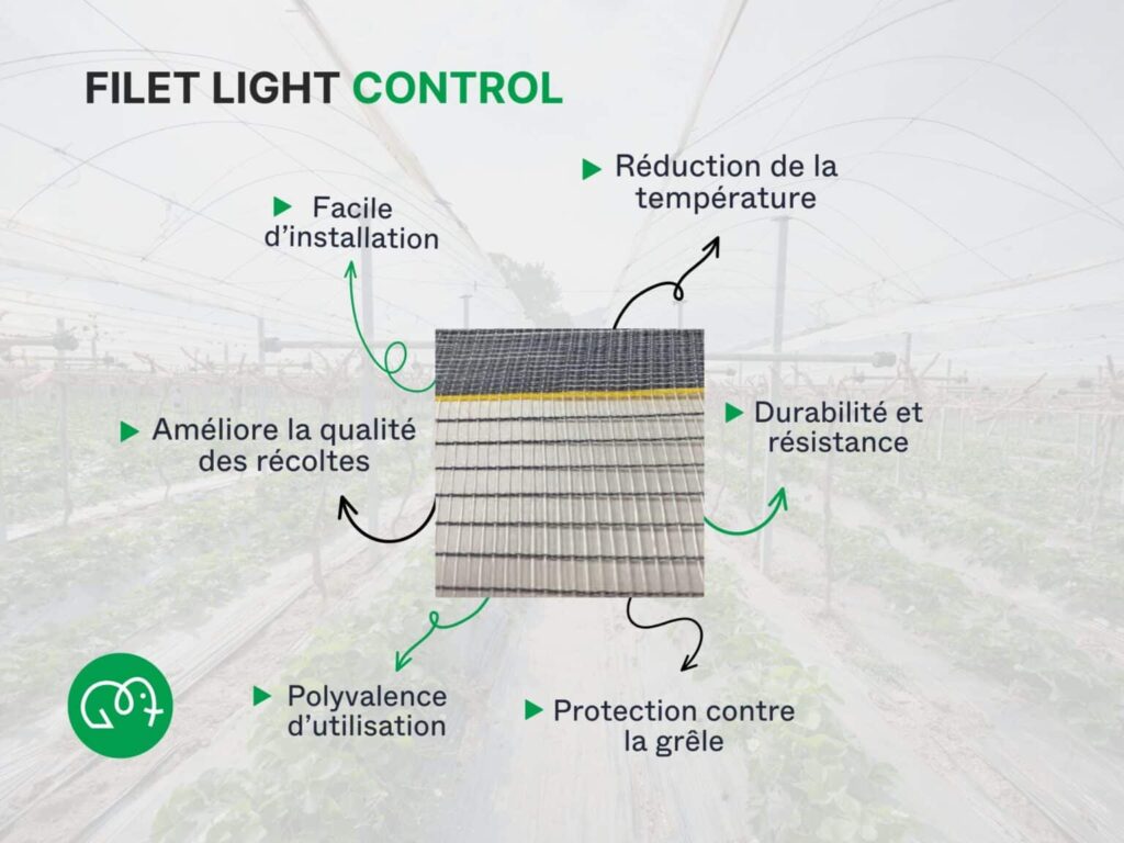 Bénéfices du filet de protection vignes anti-grêle, ombrage...