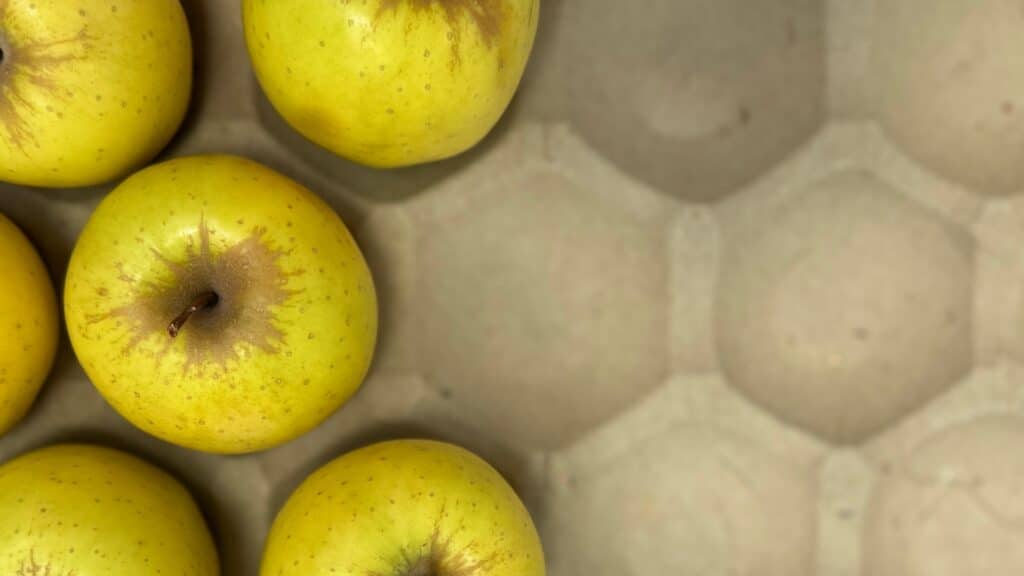 Alvéoles en cellulose moulée pour fruits (pommes, poires, pêches...)