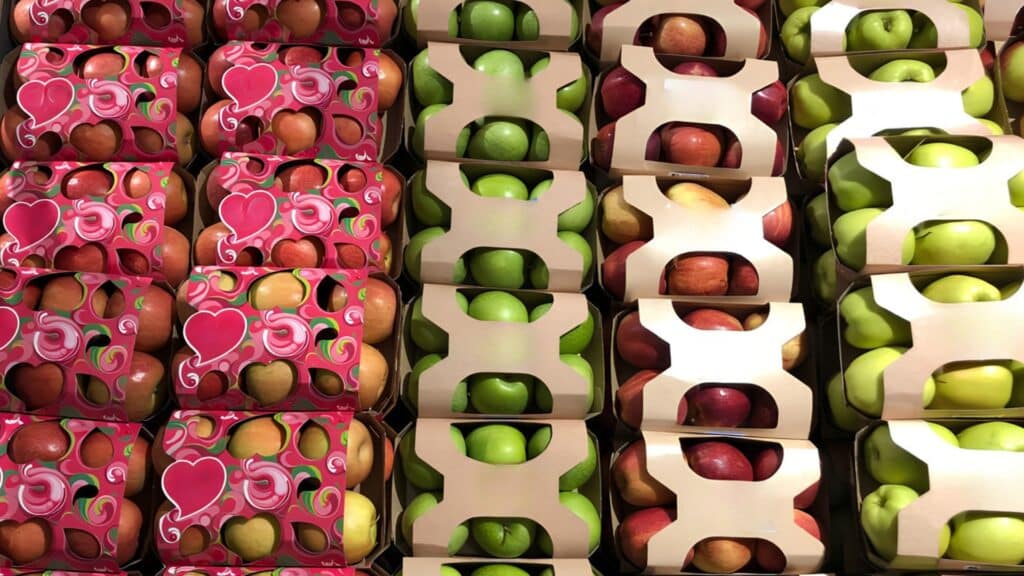 Rayon de barquettes en carton pour 6 fruits pommes