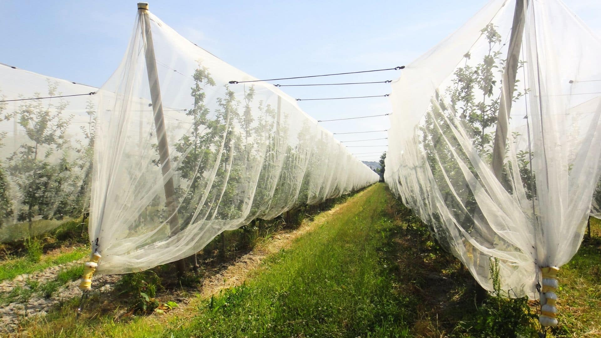 Protection contre les aléas climatiques
