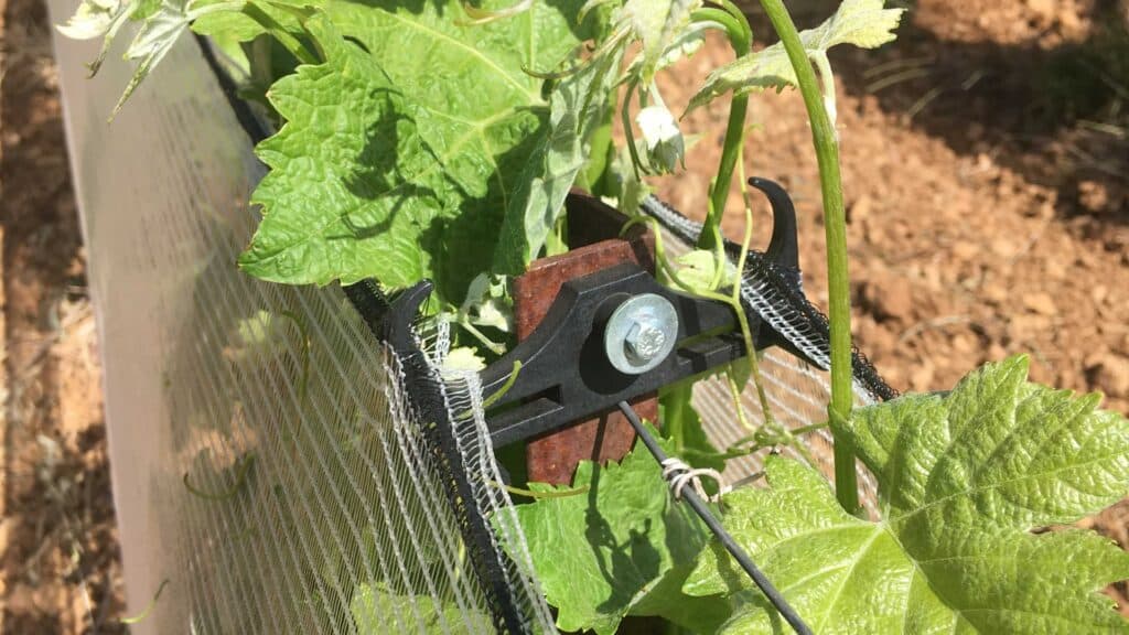 Accessoires pour filet de protection anti-grêle pour la viticulture