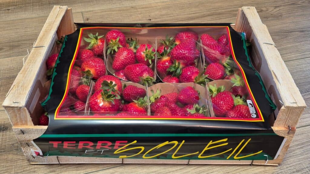 Accessoires pour plateaux fruits et légumes